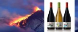 "Вулканическое" вино Terre dei Miti